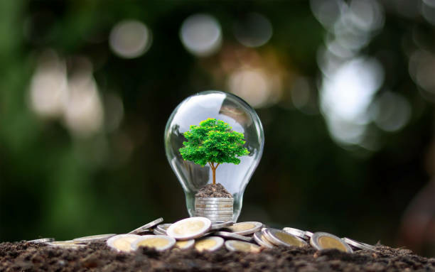 investissement durable ampoule arbre